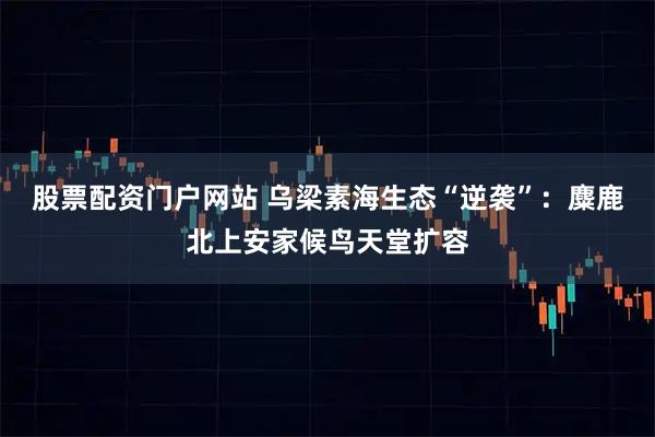 股票配资门户网站 乌梁素海生态“逆袭”：麋鹿北上安家候鸟天堂扩容