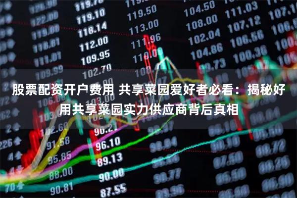 股票配资开户费用 共享菜园爱好者必看：揭秘好用共享菜园实力供应商背后真相