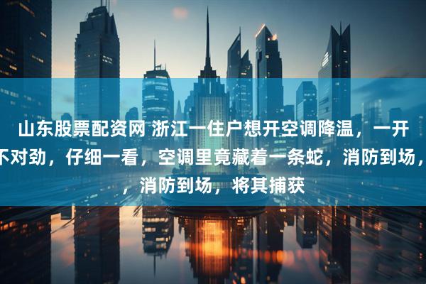 山东股票配资网 浙江一住户想开空调降温，一开机就感觉不对劲，仔细一看，空调里竟藏着一条蛇，消防到场，将其捕获