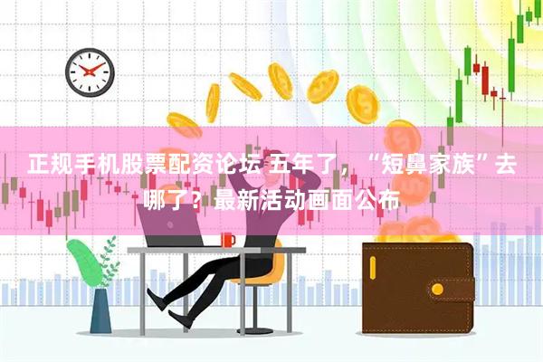 正规手机股票配资论坛 五年了，“短鼻家族”去哪了？最新活动画面公布